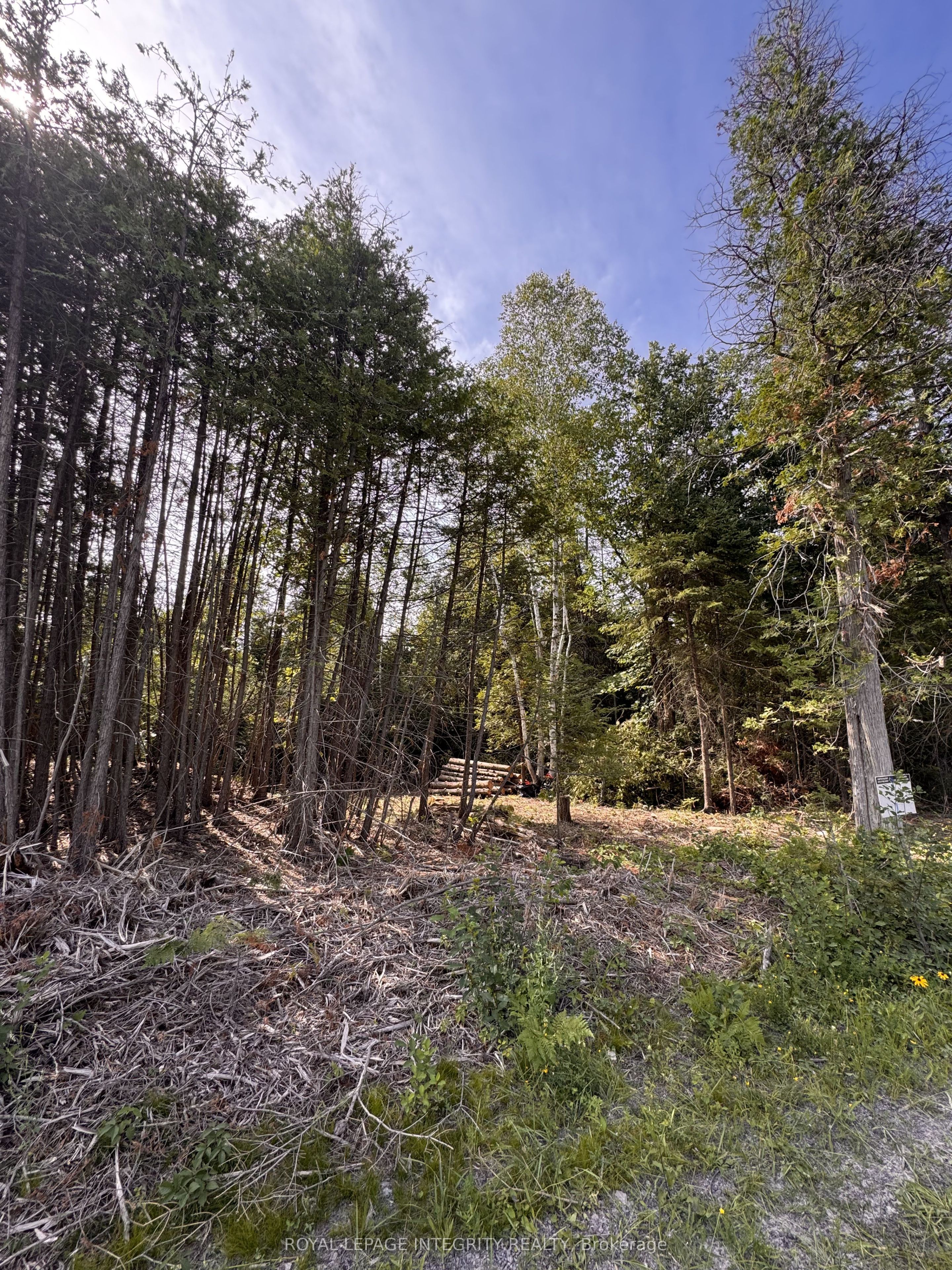 7110 Gallagher Road Property Photo 12