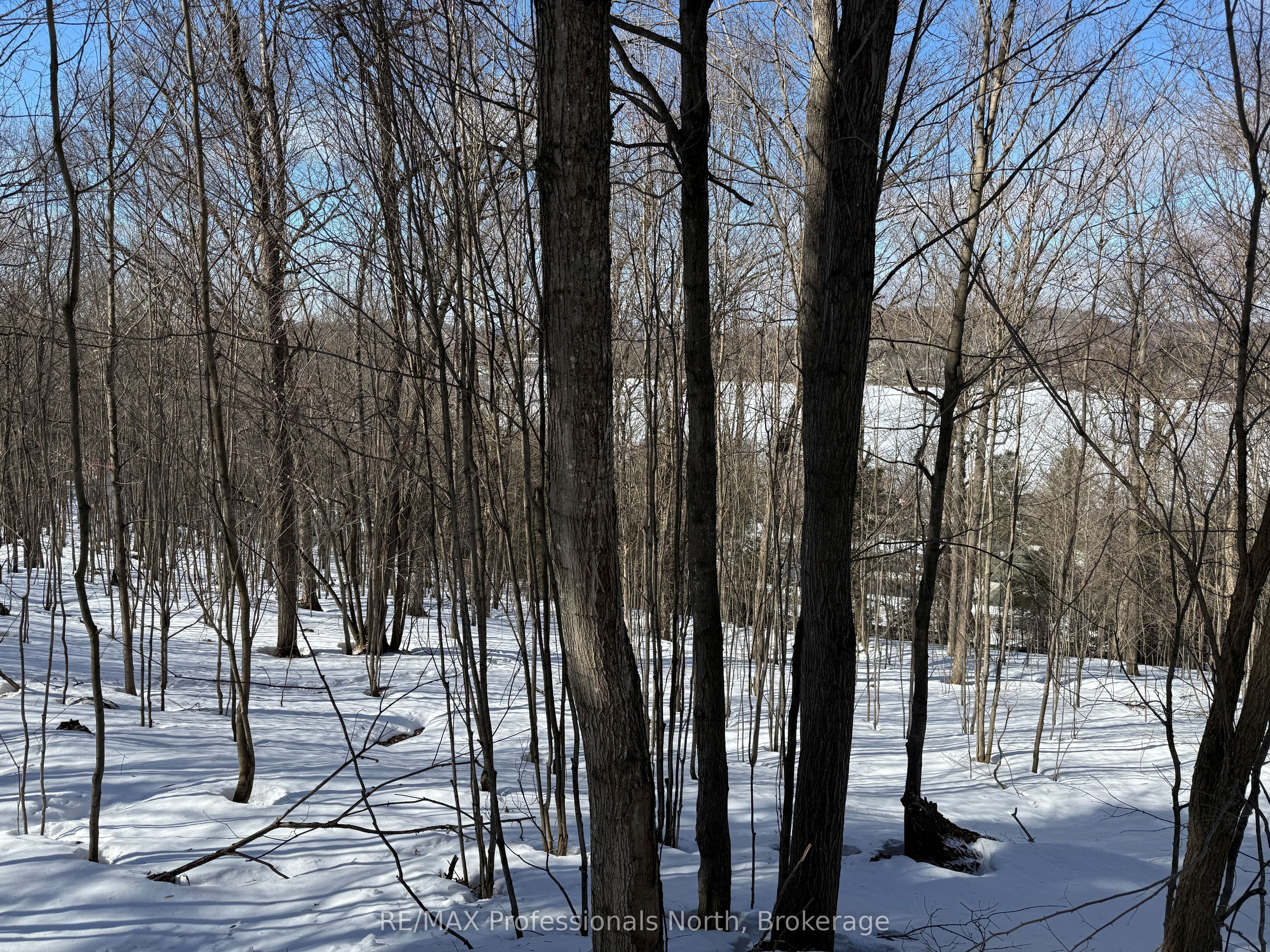 22 Walpole Street W