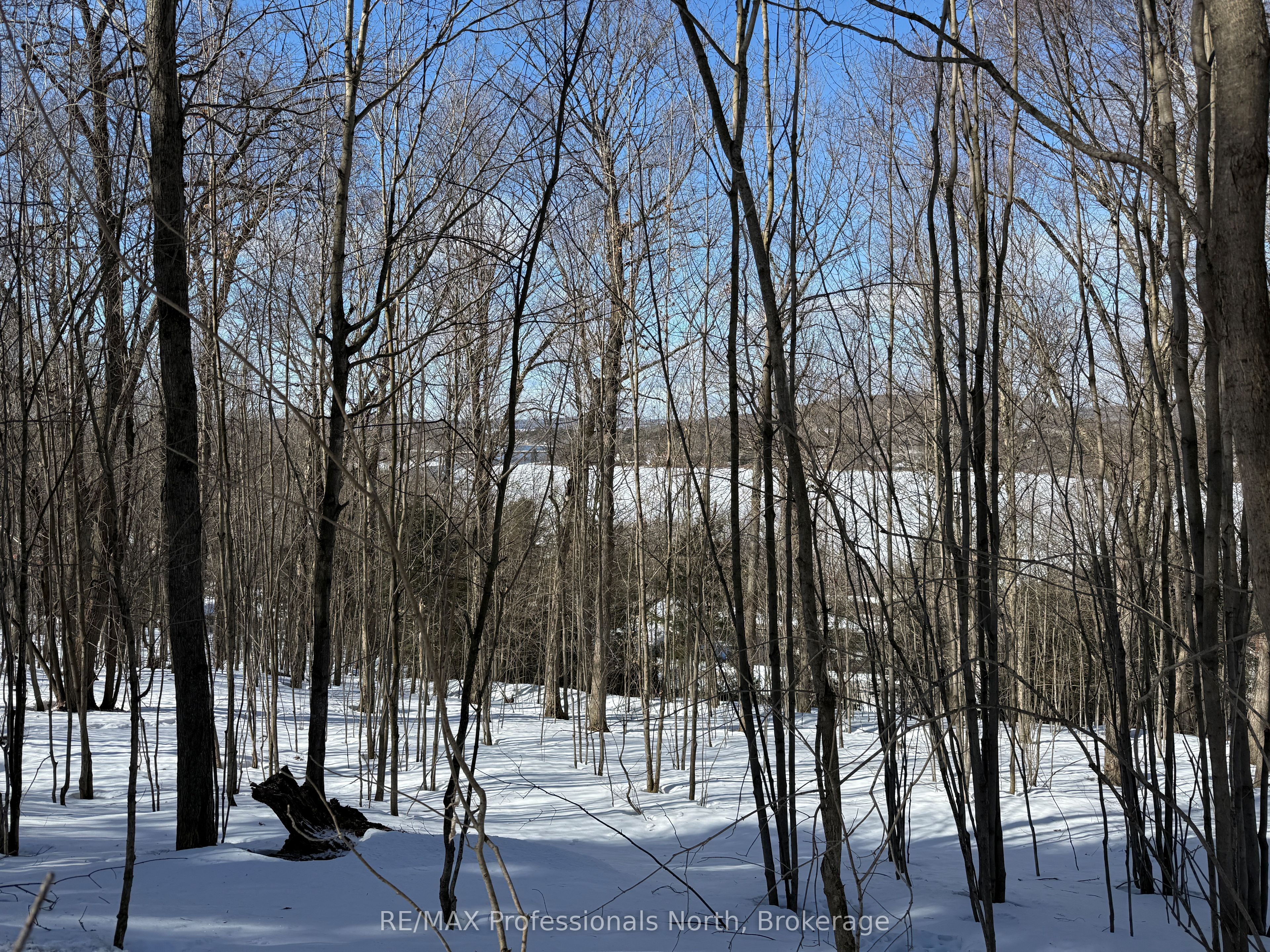 22 Walpole Street W Property Photo 4
