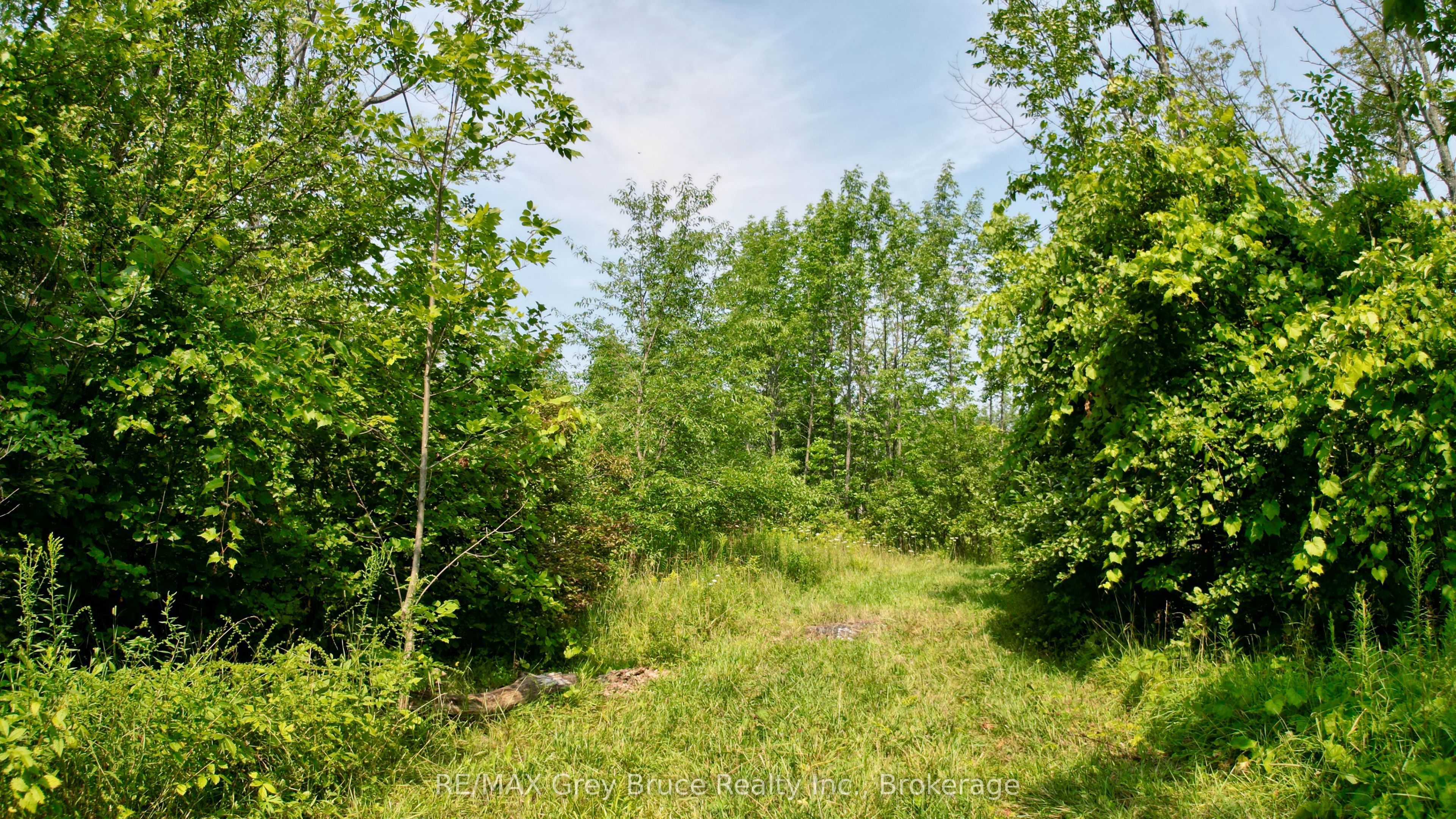 61 Crawford Drive Property Photo 16