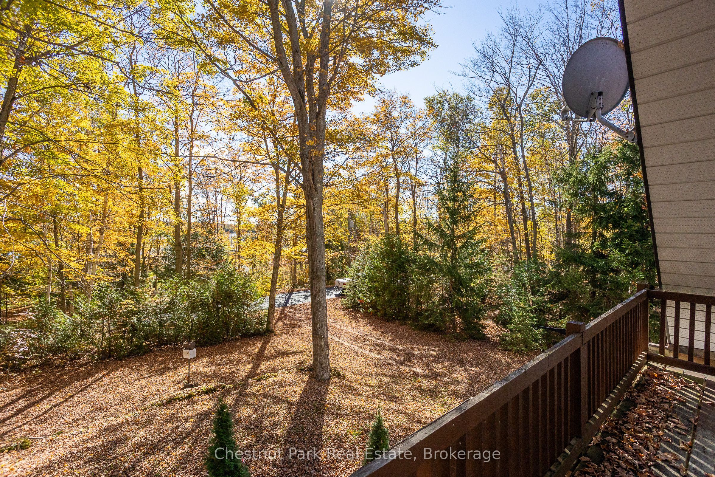 305 Barney's Boulevard Property Photo 26
