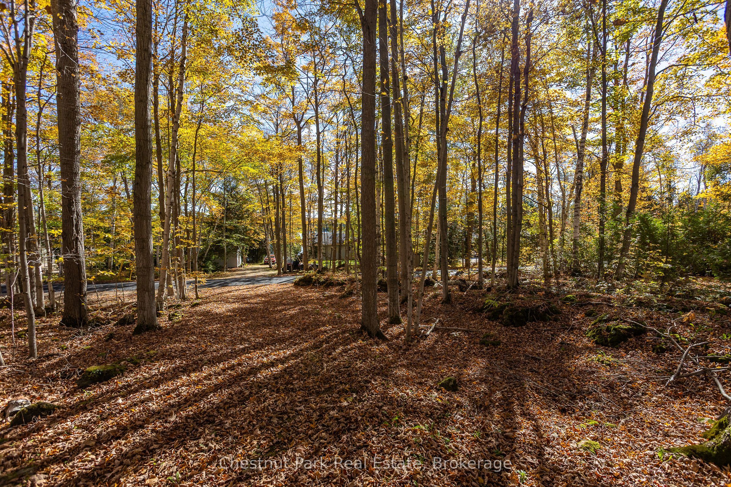 305 Barney's Boulevard Property Photo 43