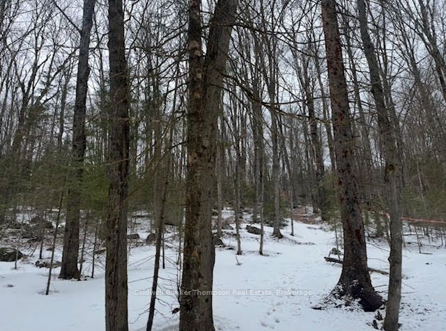 440 Riding Ranch Road Property Photo 2