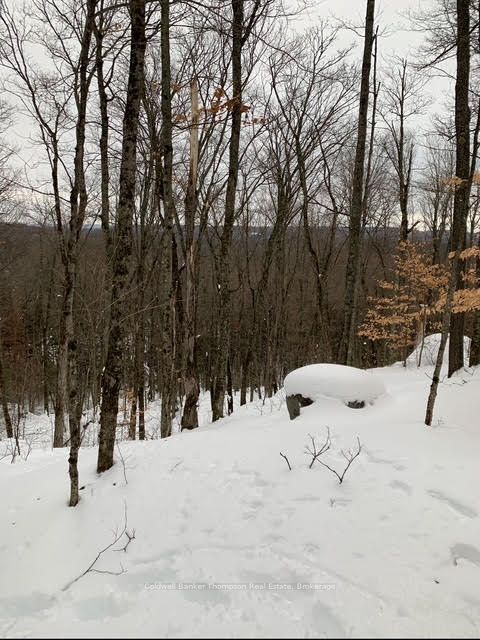 440 Riding Ranch Road Property Photo 5