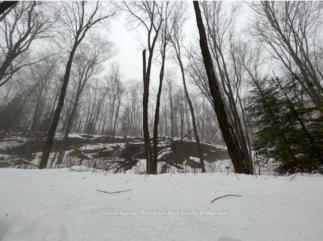 440 Riding Ranch Road Property Photo 9