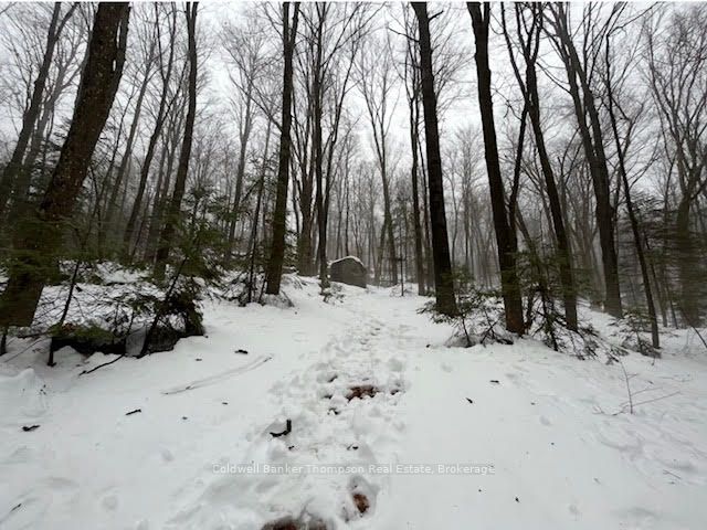 440 Riding Ranch Road Property Photo 10