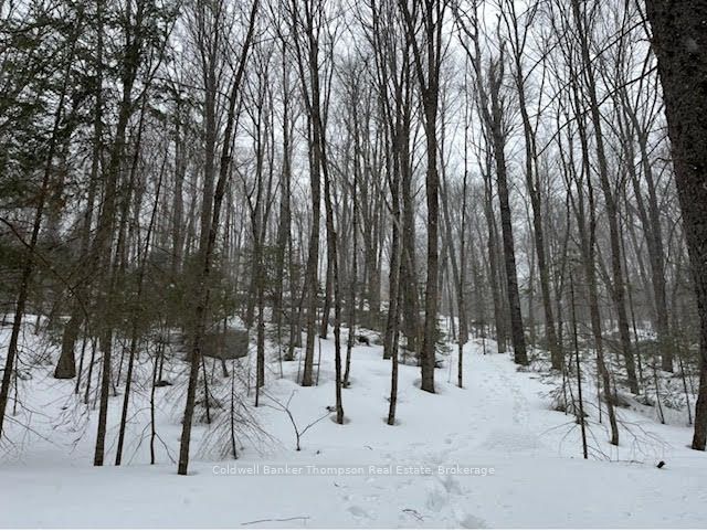 440 Riding Ranch Road Property Photo 11