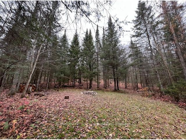 440 Riding Ranch Road Property Photo 14