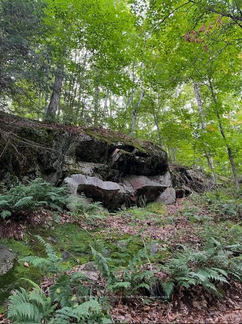 440 Riding Ranch Road Property Photo 15
