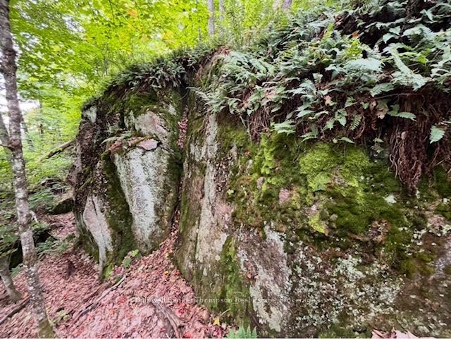 440 Riding Ranch Road Property Photo 16