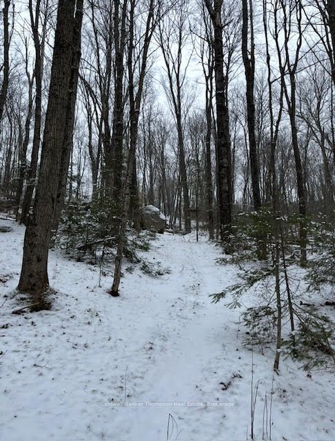 440 Riding Ranch Road Property Photo 17