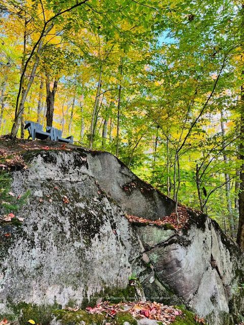 440 Riding Ranch Road Property Photo 18