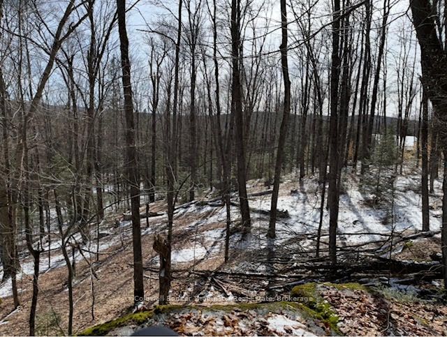440 Riding Ranch Road Property Photo 19