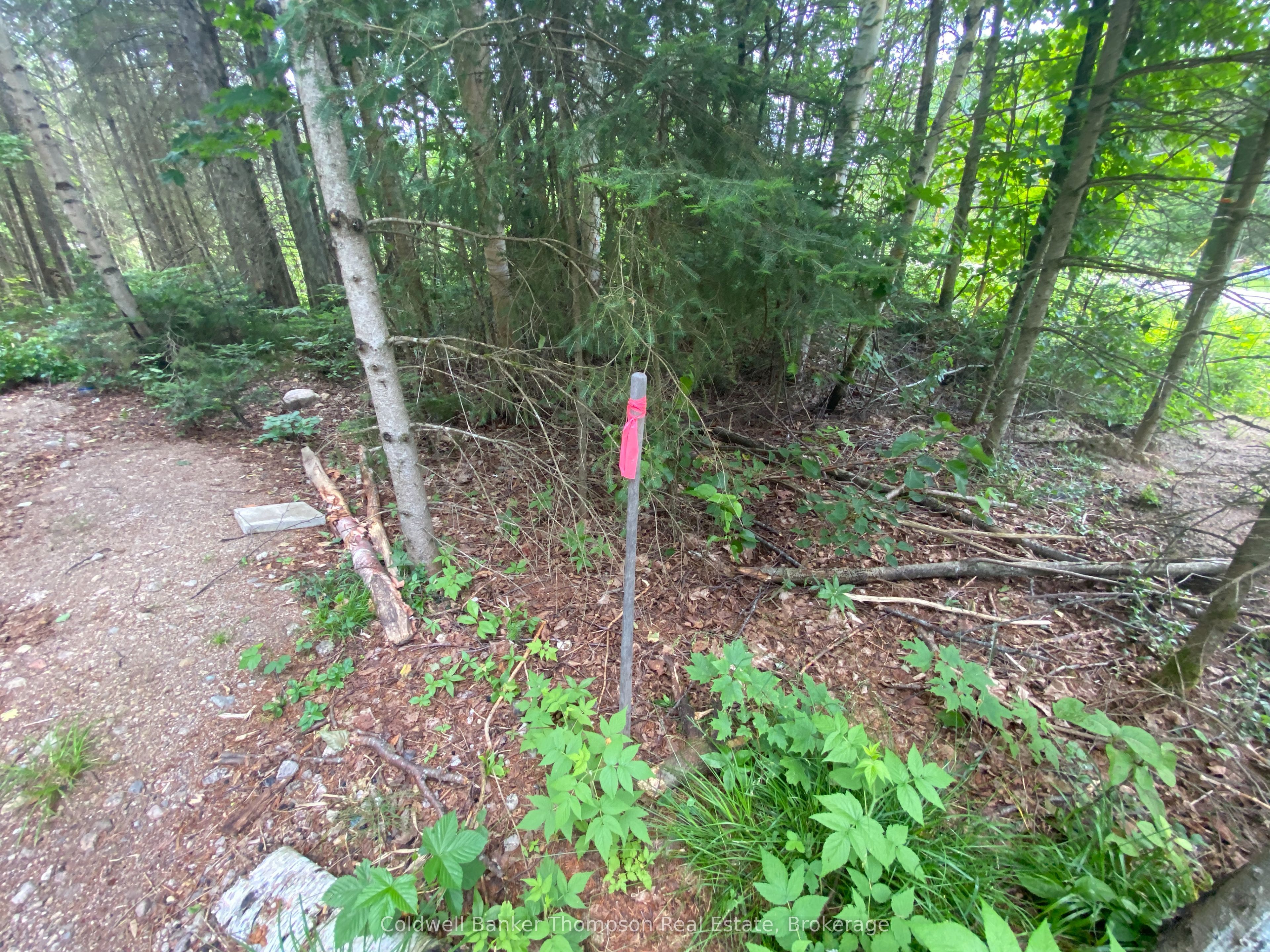 440 Riding Ranch Road Property Photo 26