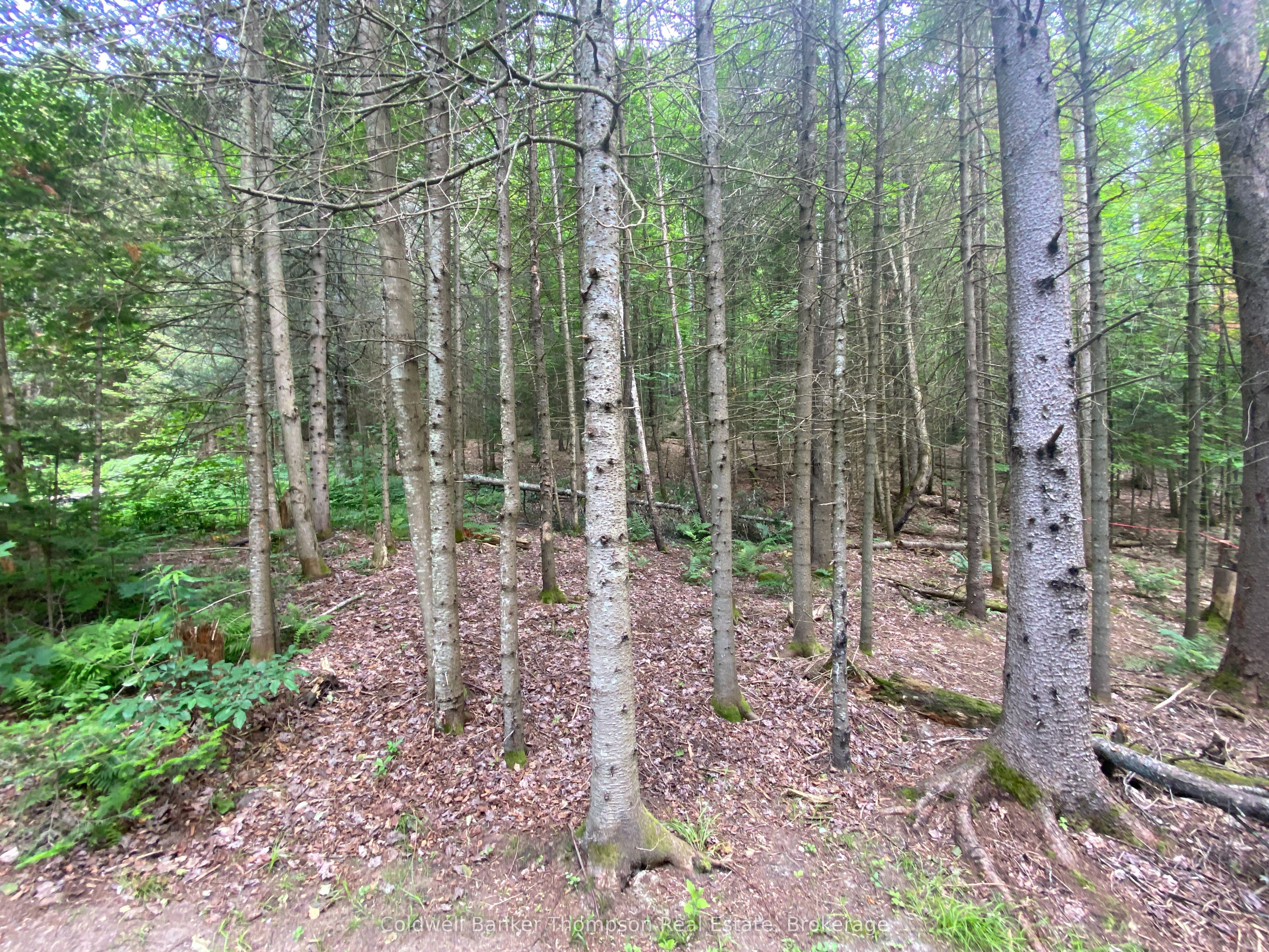 440 Riding Ranch Road Property Photo 29