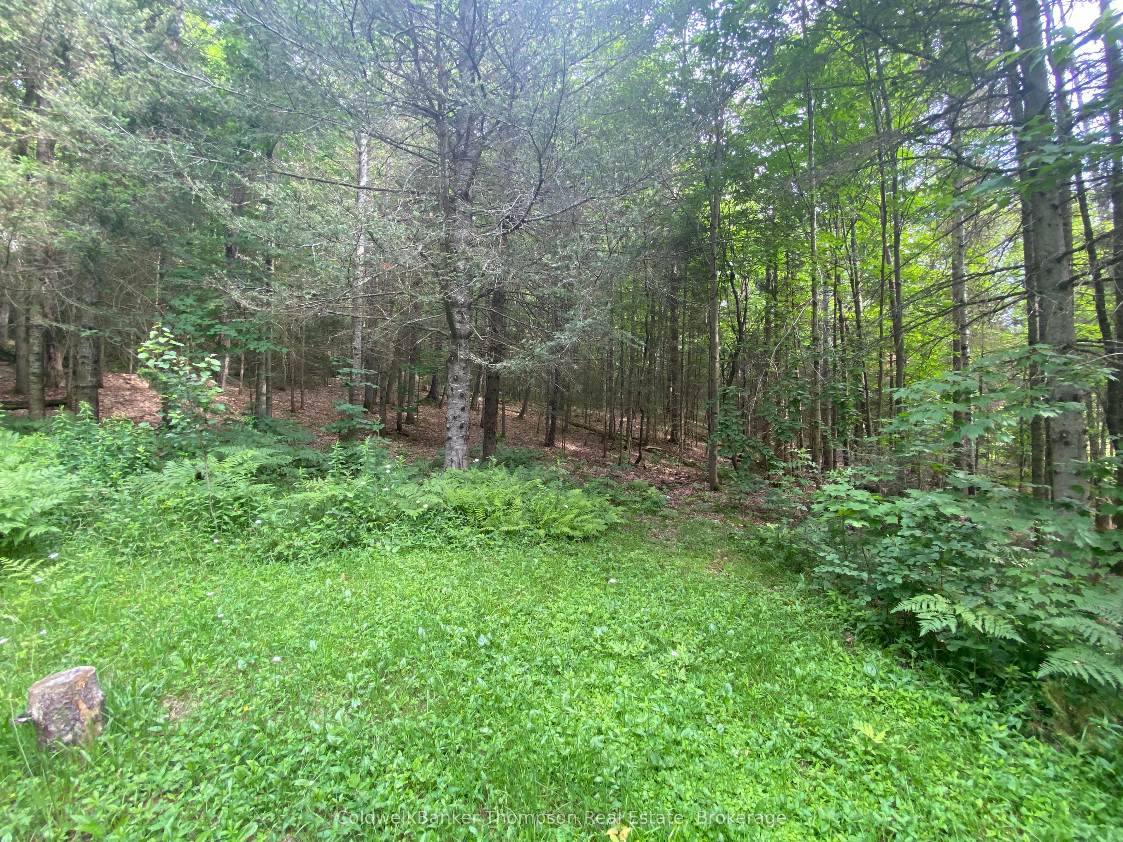 440 Riding Ranch Road Property Photo 32