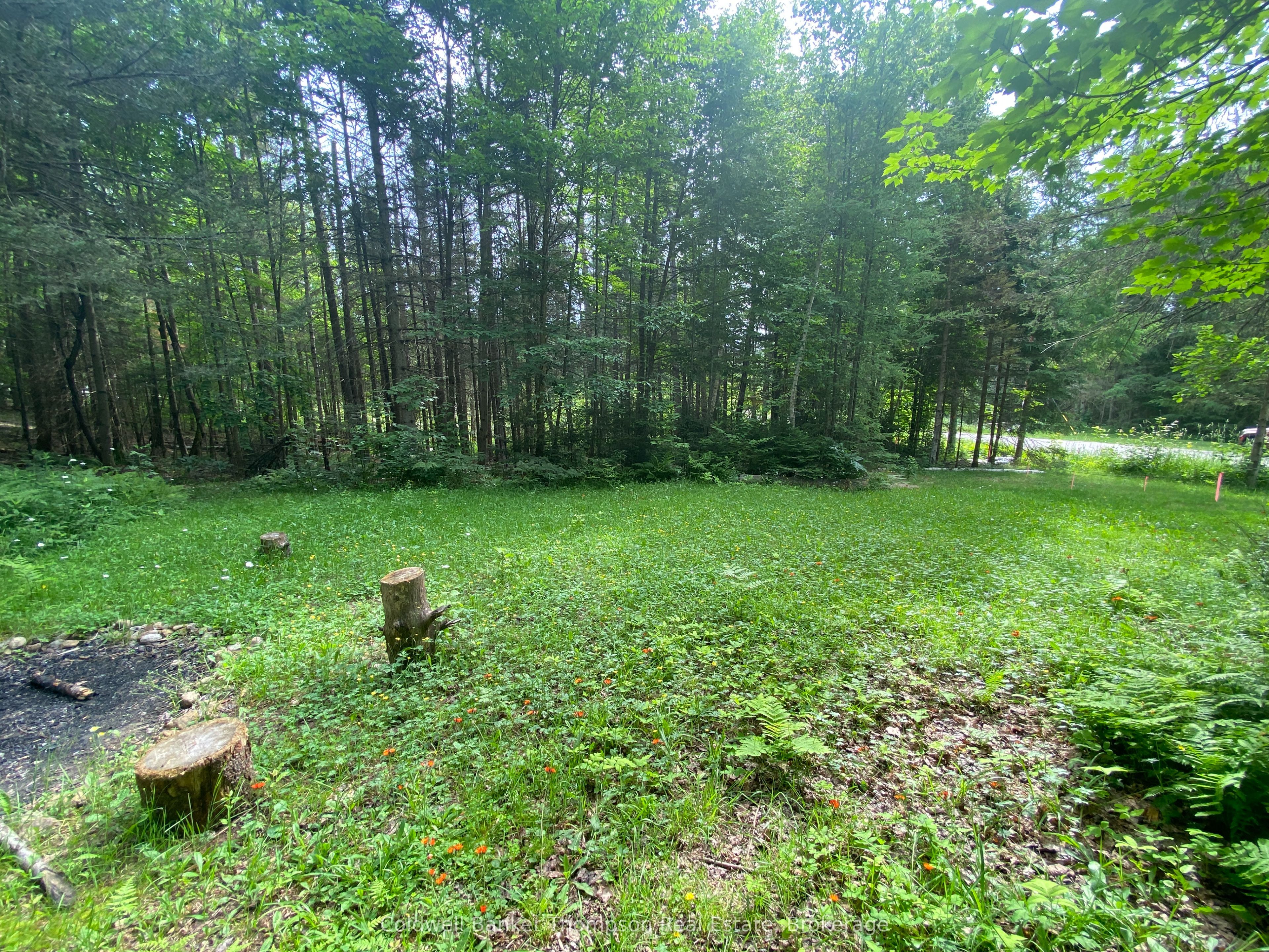 440 Riding Ranch Road Property Photo 34