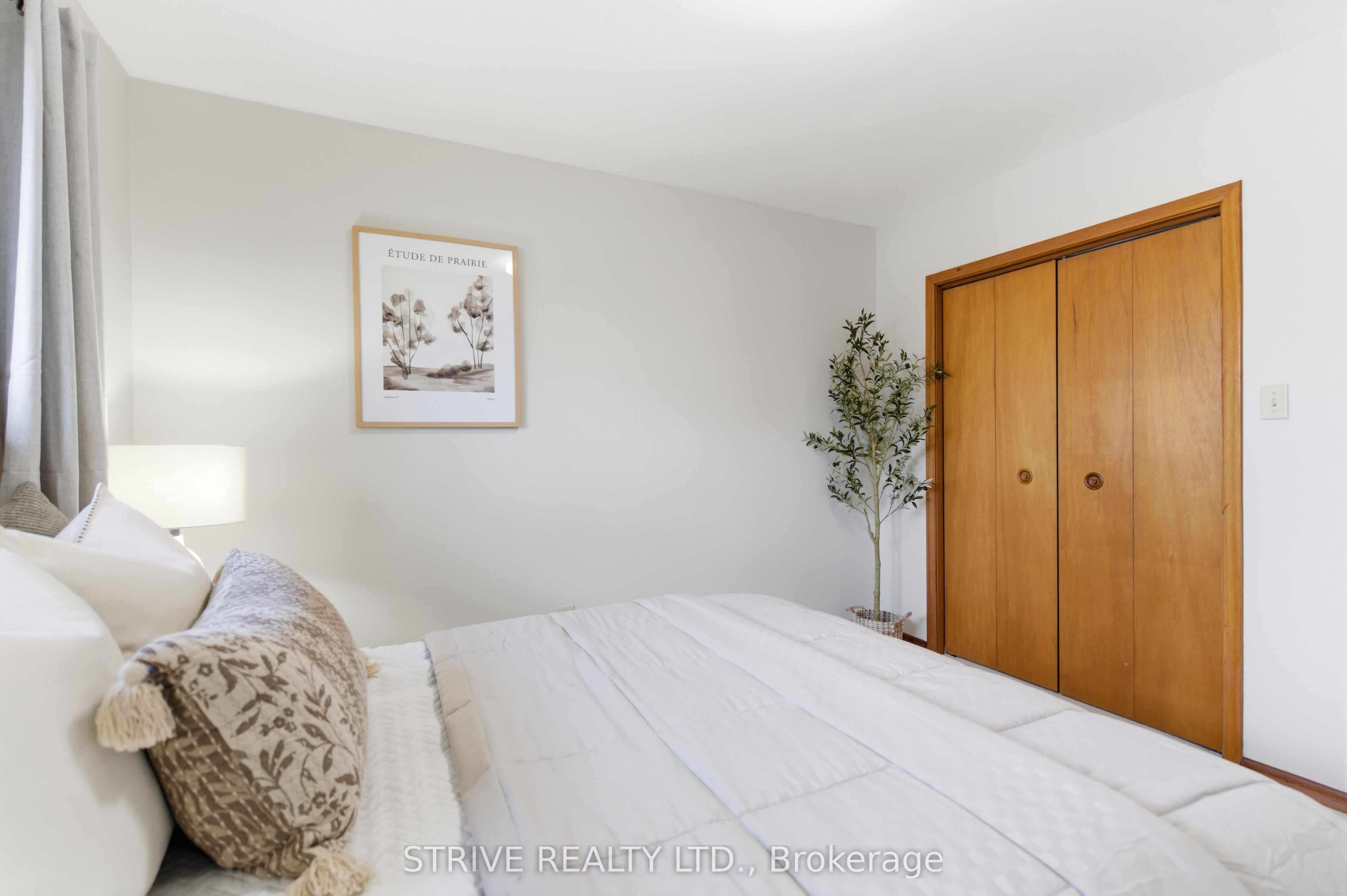 81 D'arcy Street Property Photo 22