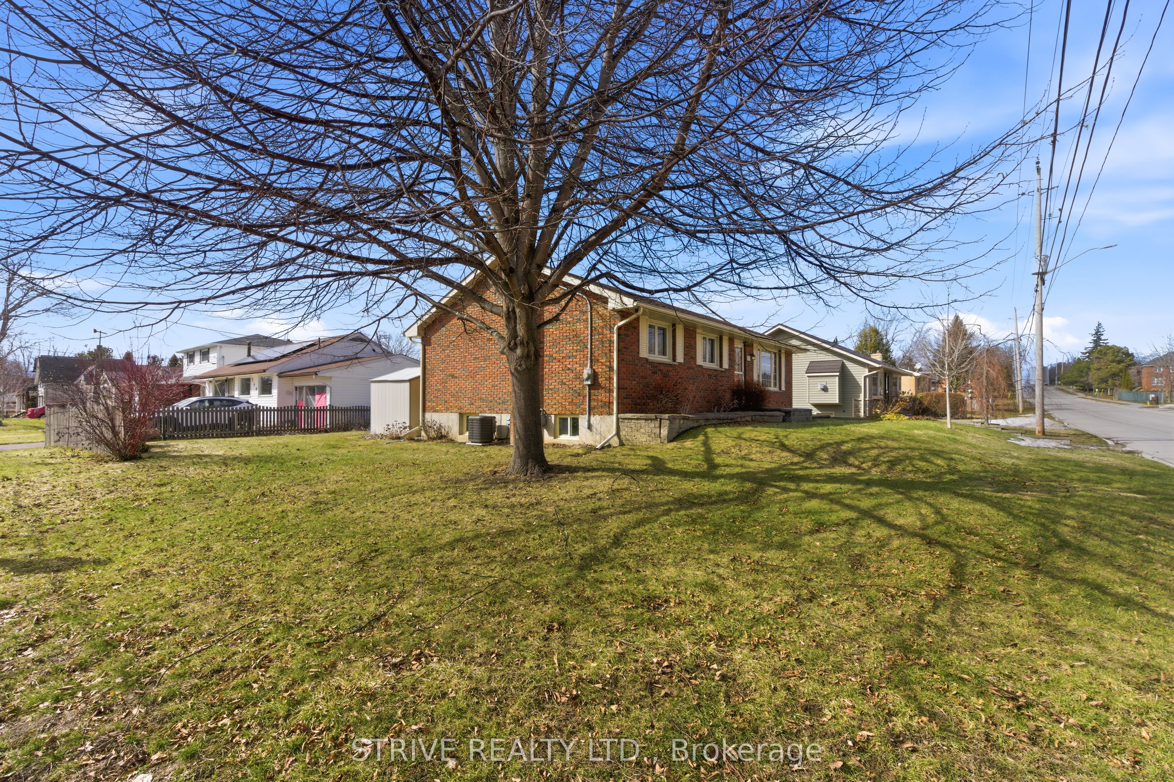 81 D'arcy Street Property Photo 34