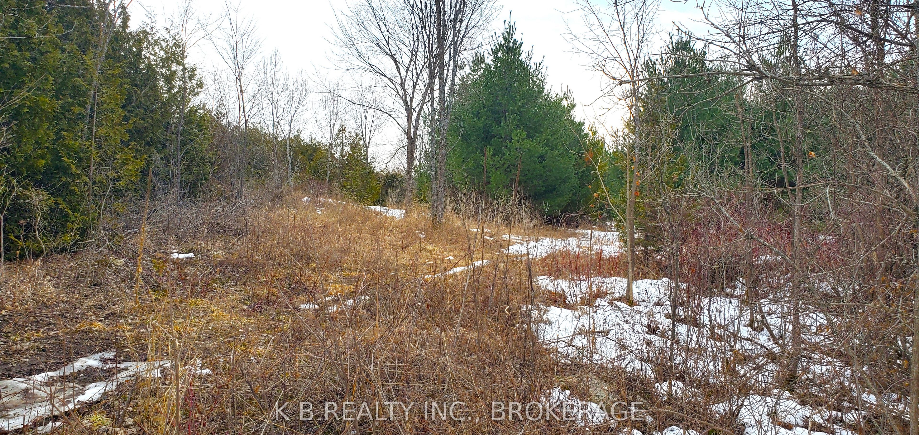 344 Adair Road Property Photo 1