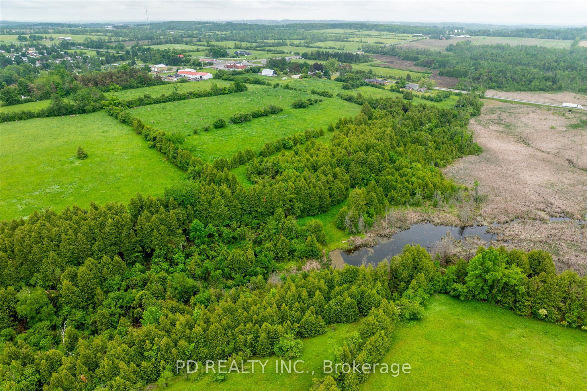 4925 Highway 7 Property Photo 29