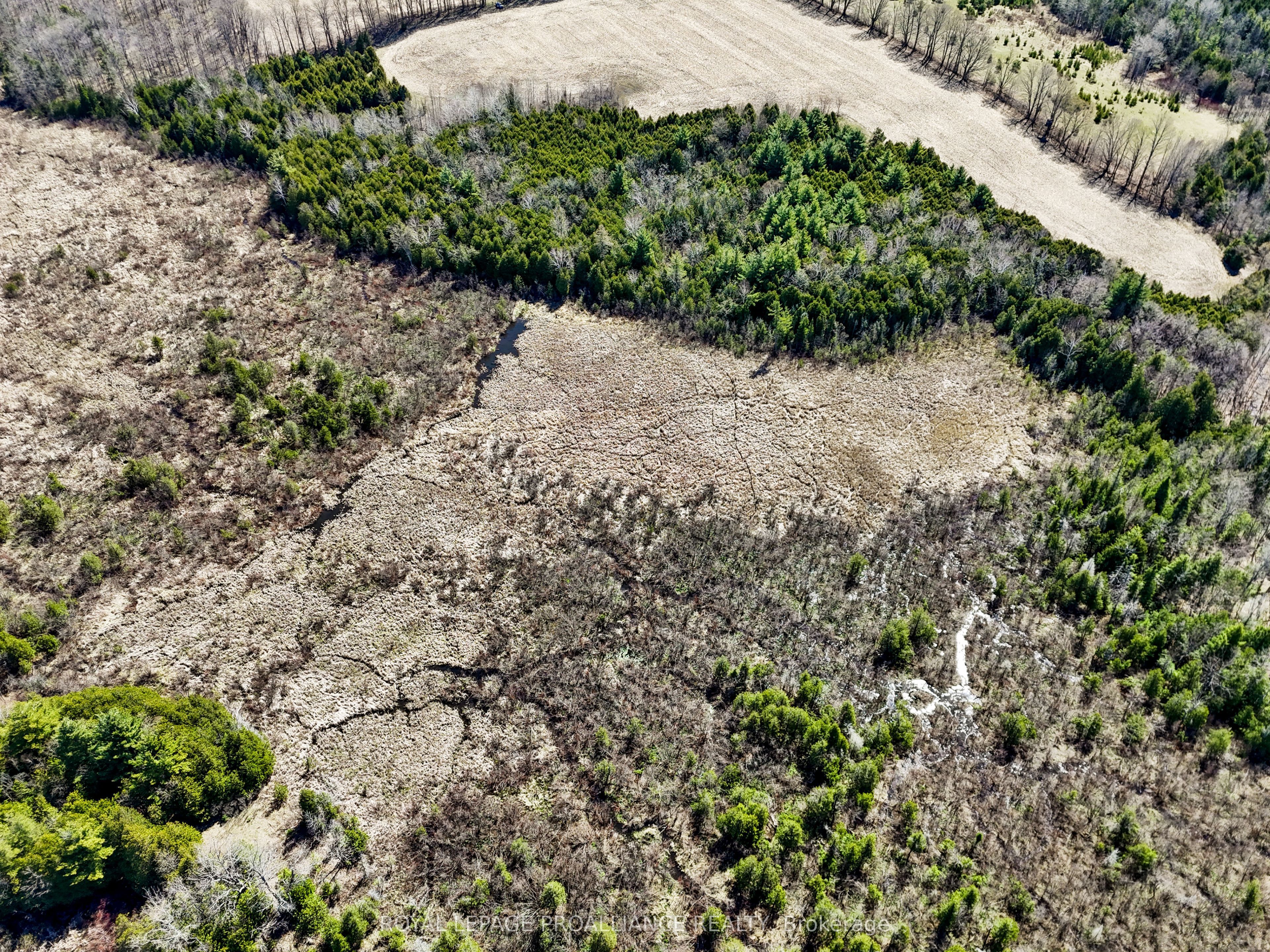 Pt Lt 16 -17 Mcdonald Road Property Photo 13