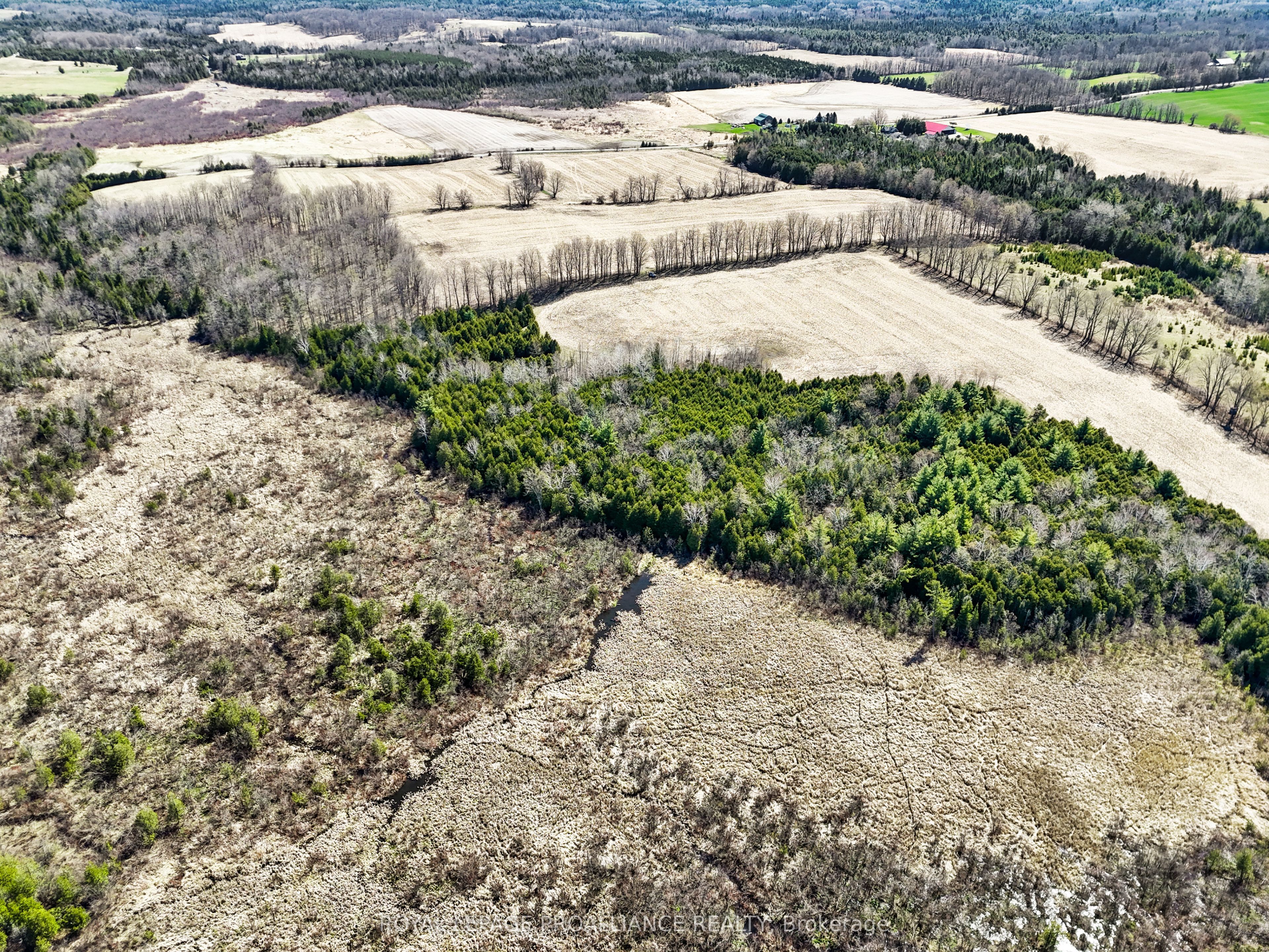 Pt Lt 16 -17 Mcdonald Road Property Photo 14
