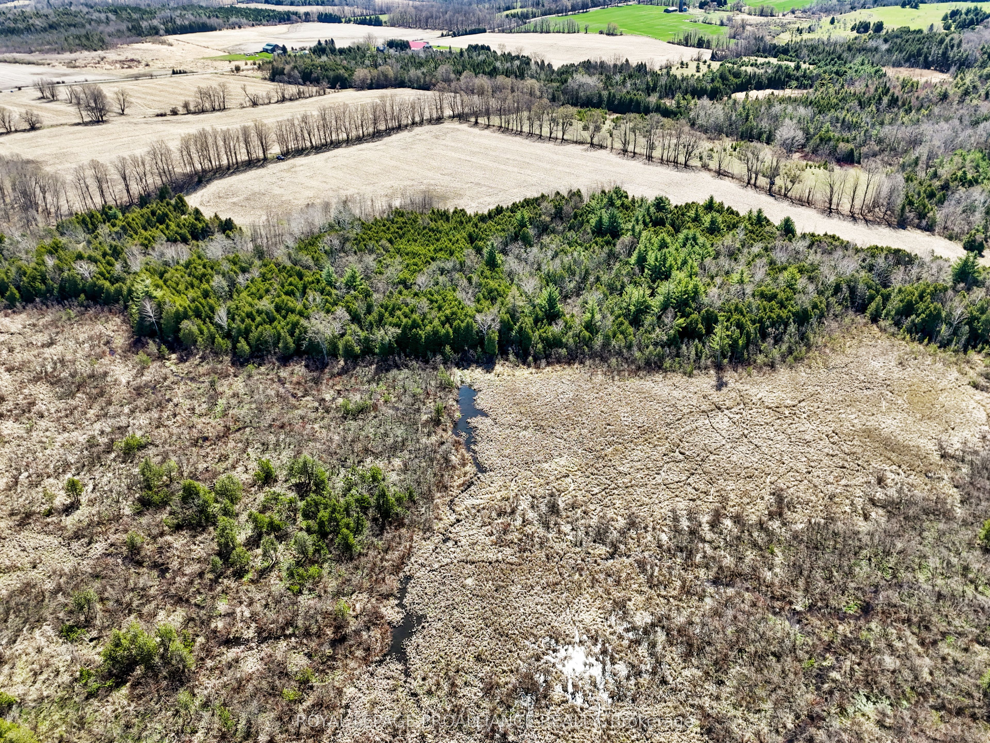 Pt Lt 16 -17 Mcdonald Road Property Photo 15