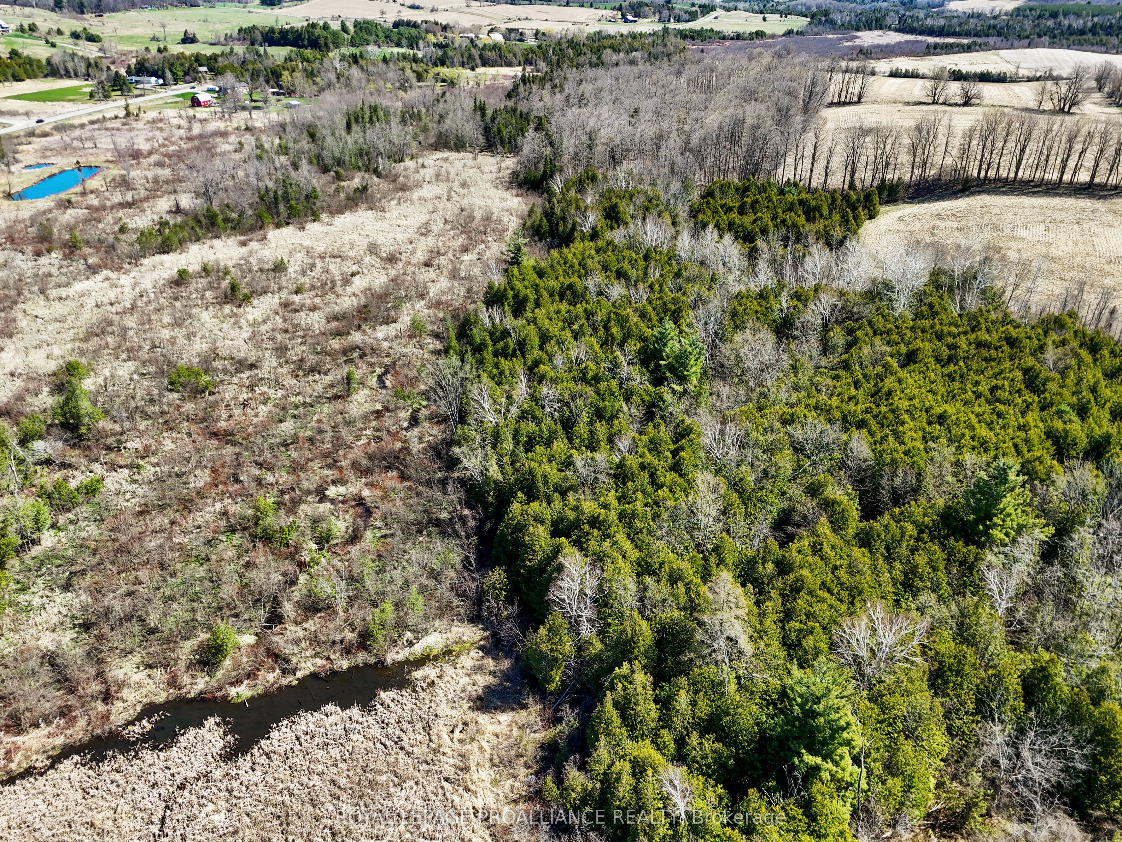 Pt Lt 16 -17 Mcdonald Road Property Photo 17