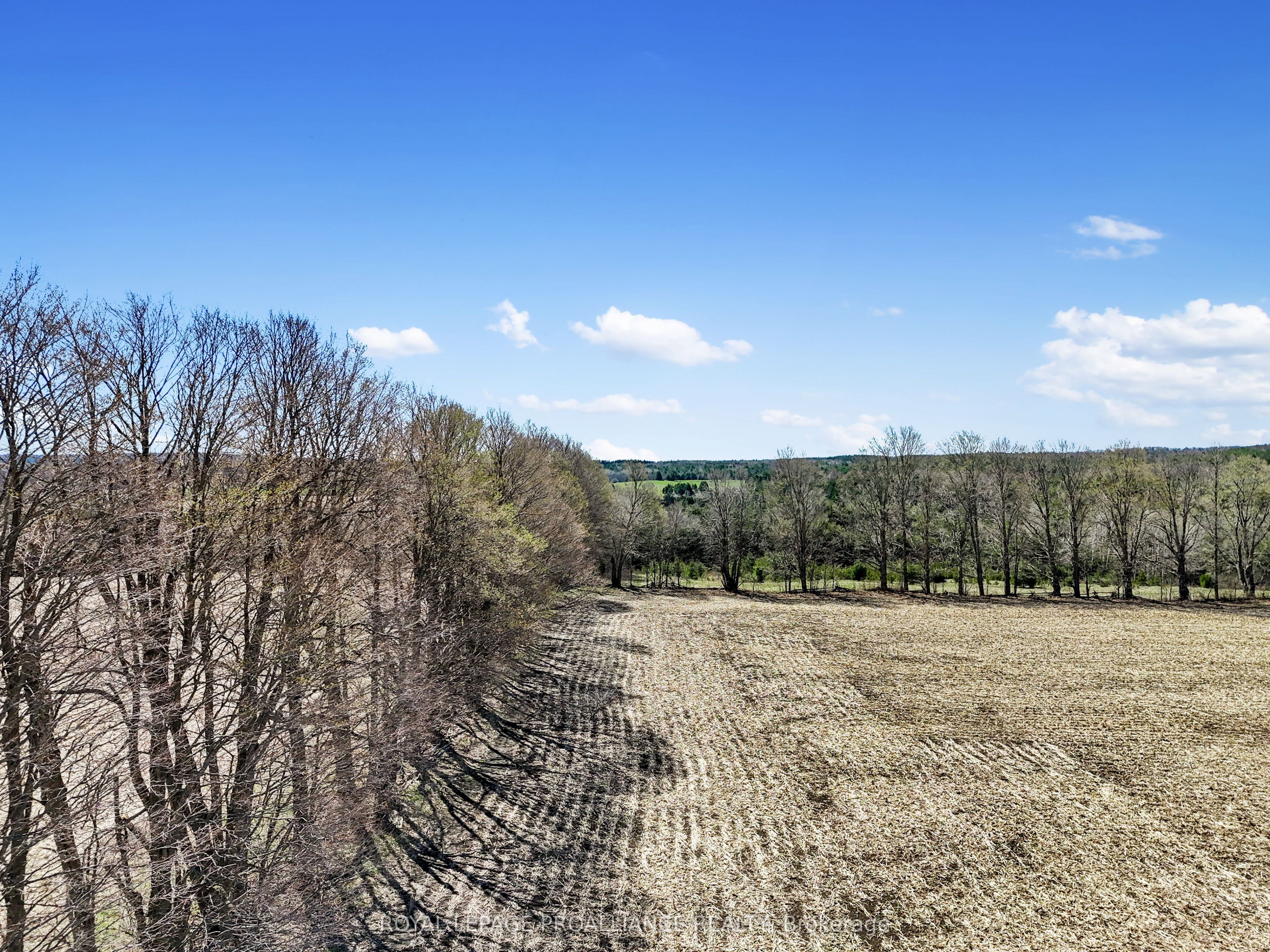 Pt Lt 16 -17 Mcdonald Road Property Photo 25