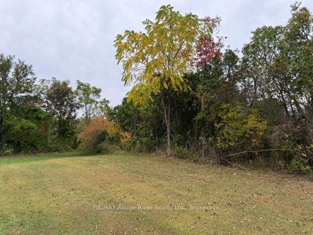 9 Cedar Street Property Photo 41