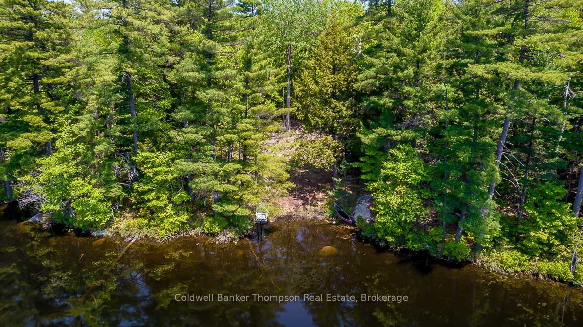 29 Bear Lake Road Property Photo 4