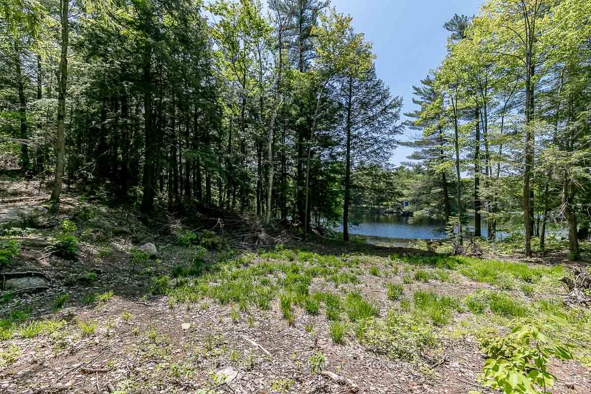 29 Bear Lake Road Property Photo 6