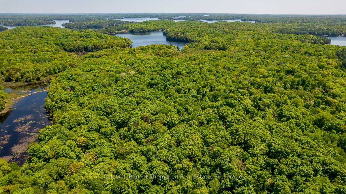 29 Bear Lake Road Property Photo 8