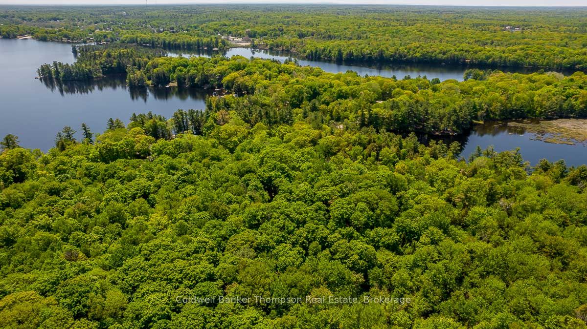 29 Bear Lake Road Property Photo 9