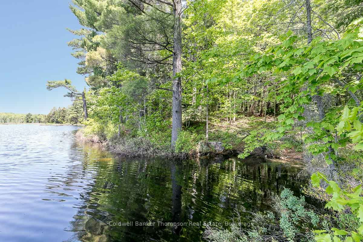 29 Bear Lake Road Property Photo 17