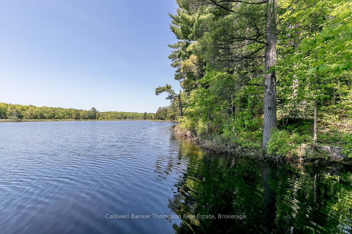 29 Bear Lake Road Property Photo 23