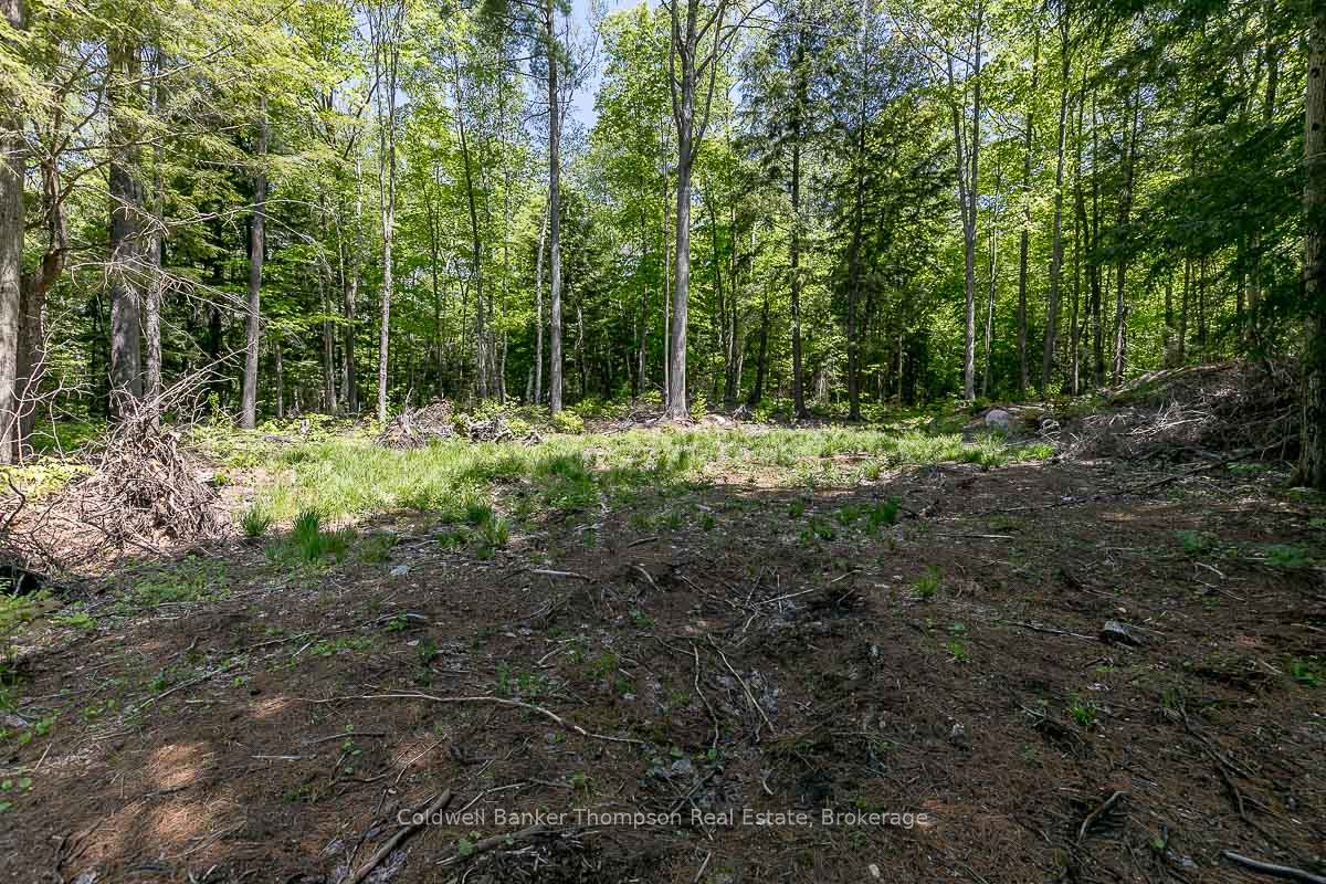 29 Bear Lake Road Property Photo 26