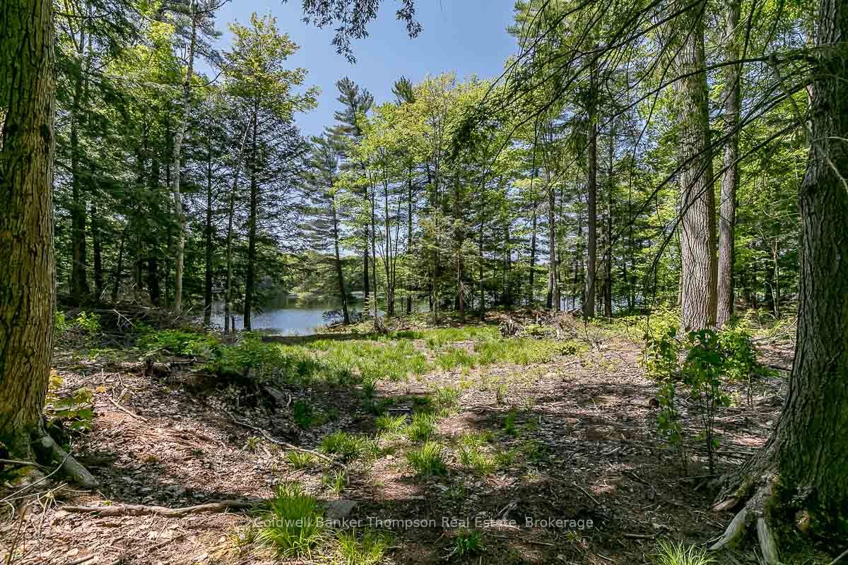 29 Bear Lake Road Property Photo 27