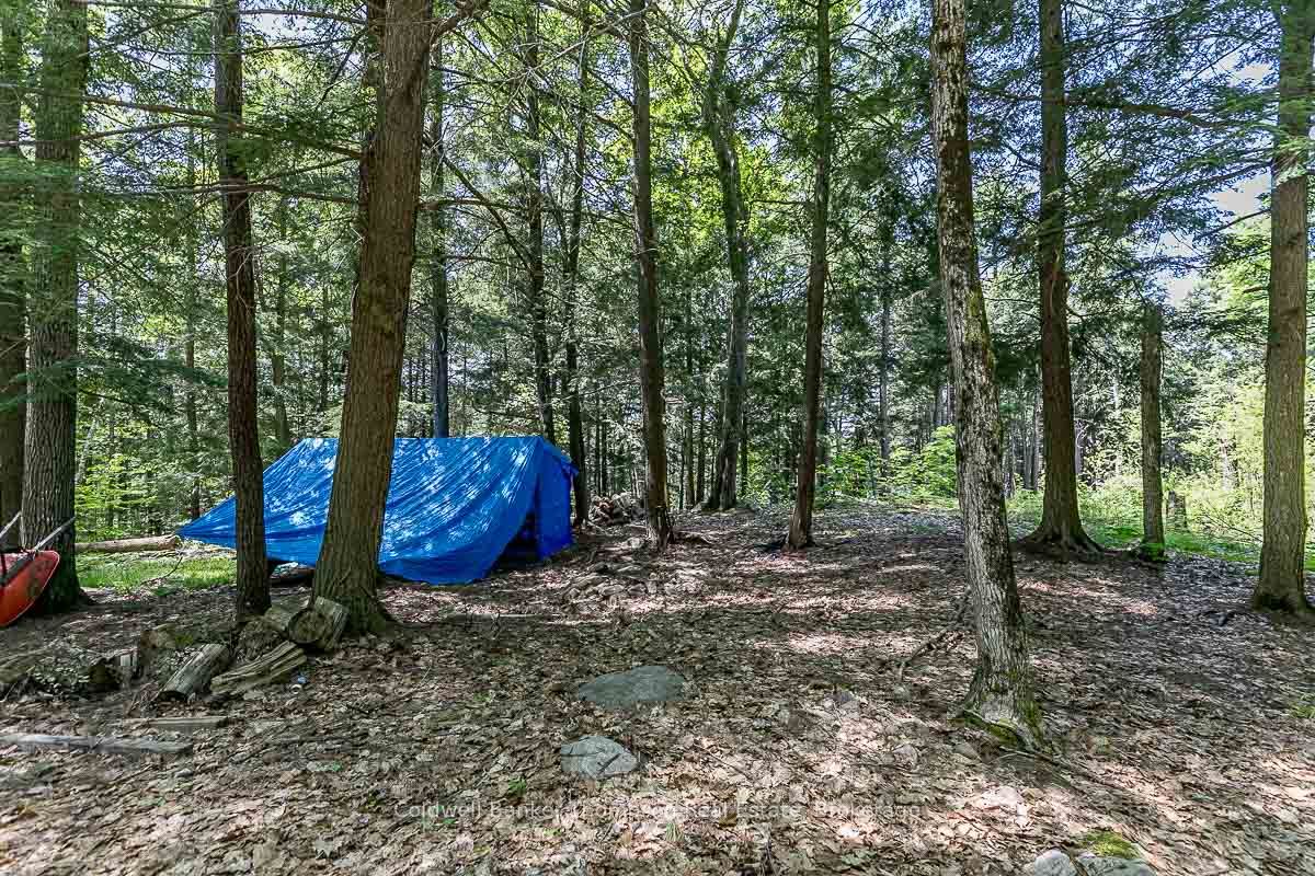 29 Bear Lake Road Property Photo 28