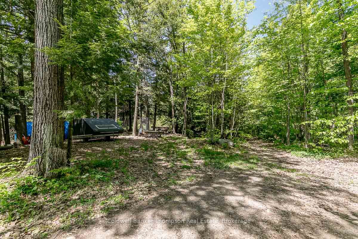 29 Bear Lake Road Property Photo 29
