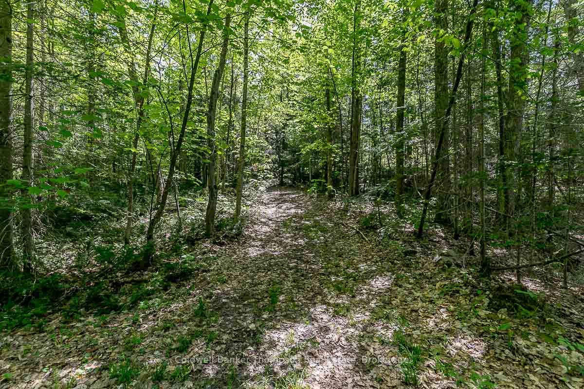 29 Bear Lake Road Property Photo 31