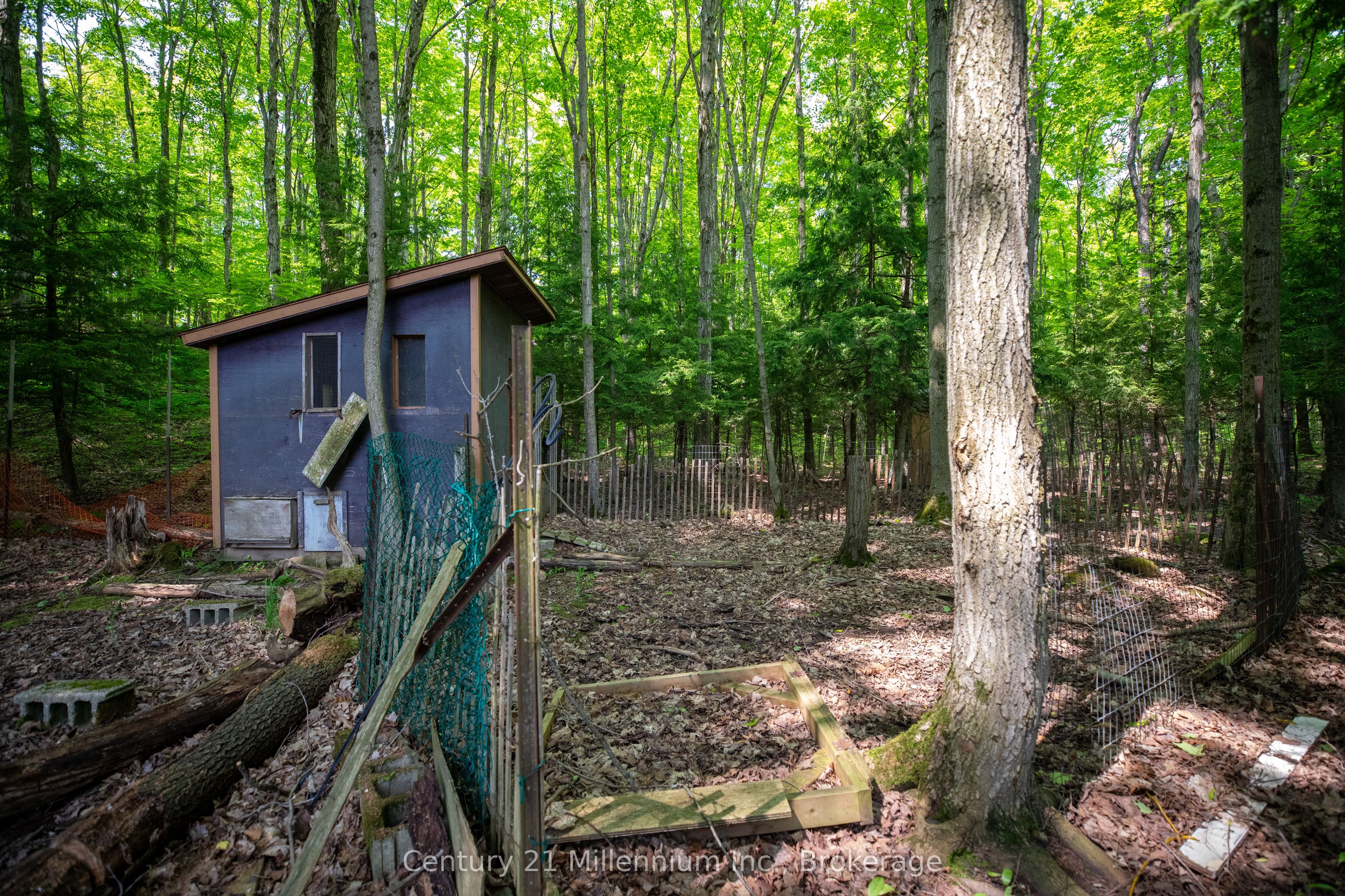 215319 Concession 4 Property Photo 42