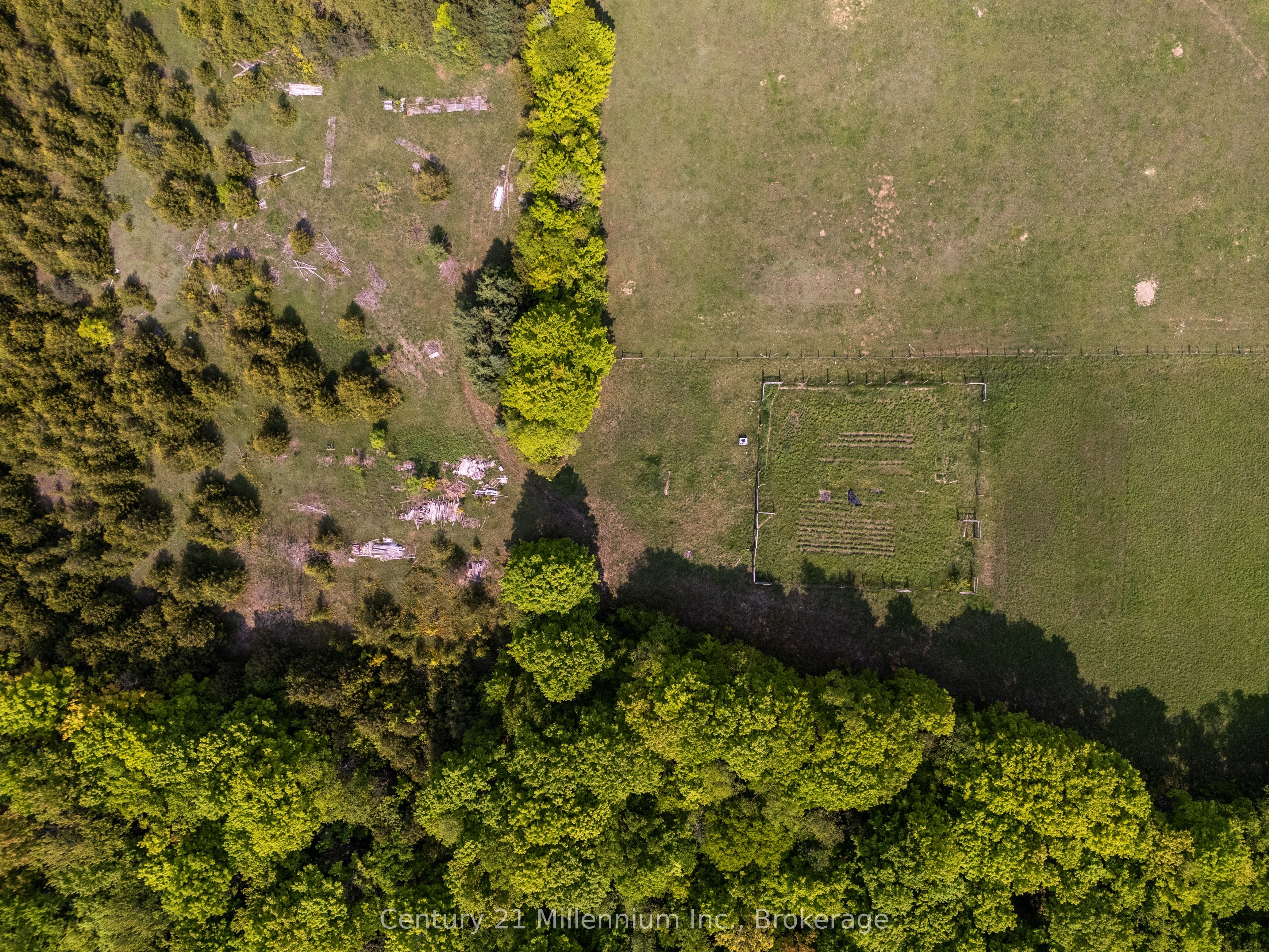 215319 Concession 4 Property Photo 44