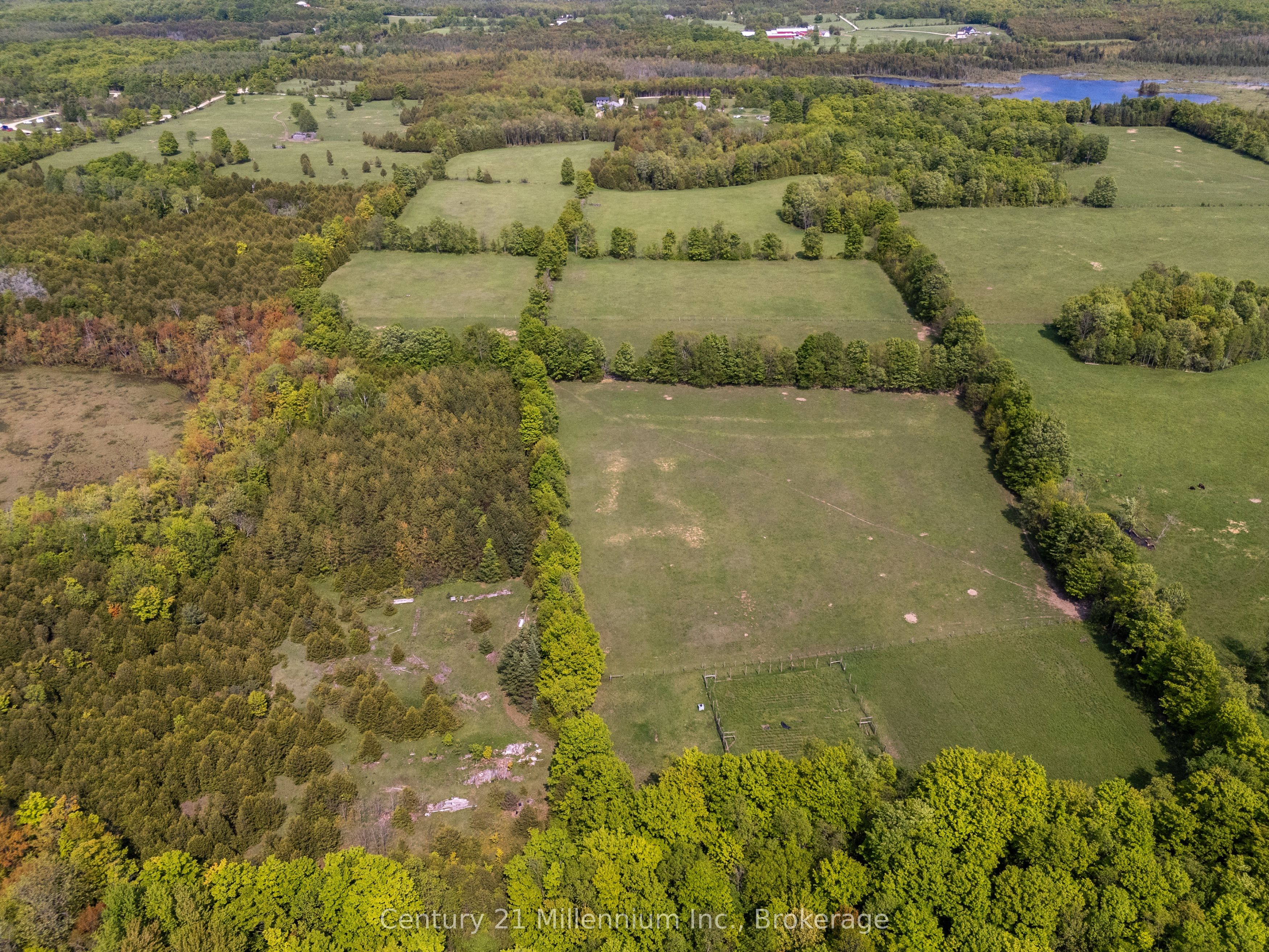215319 Concession 4 Property Photo 46