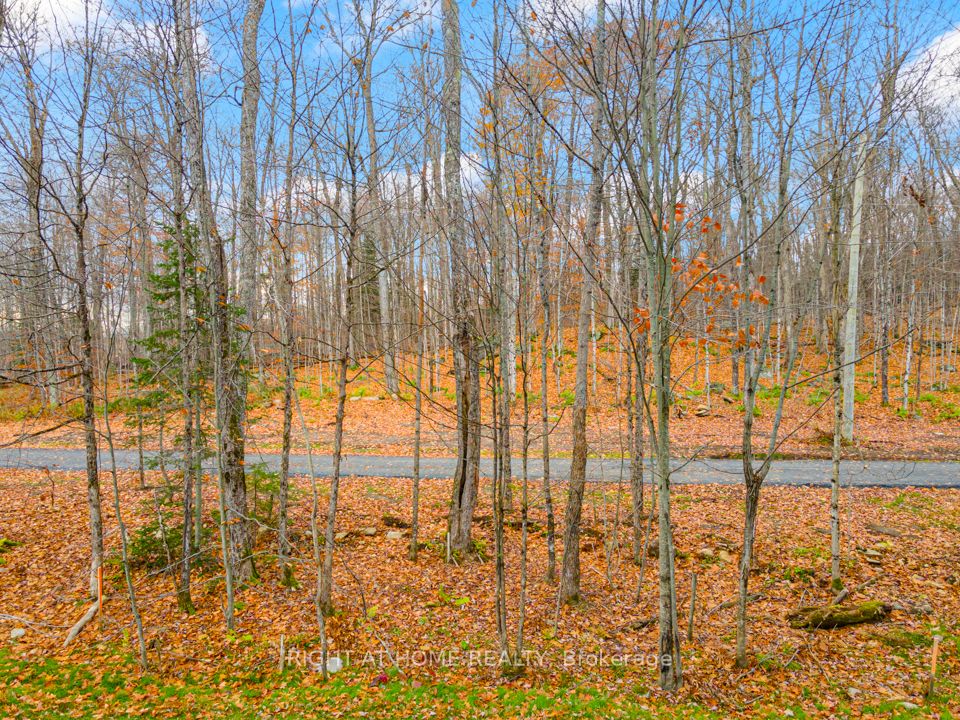 18 Campus Trail 107 Property Photo 21