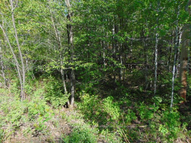 Lot 11 Plan 580 North Drive Property Photo 5