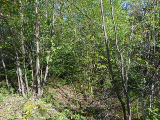 Lot 11 Plan 580 North Drive Property Photo 6