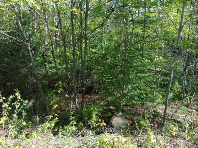 Lot 11 Plan 580 North Drive Property Photo 7