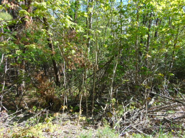Lot 11 Plan 580 North Drive Property Photo 10
